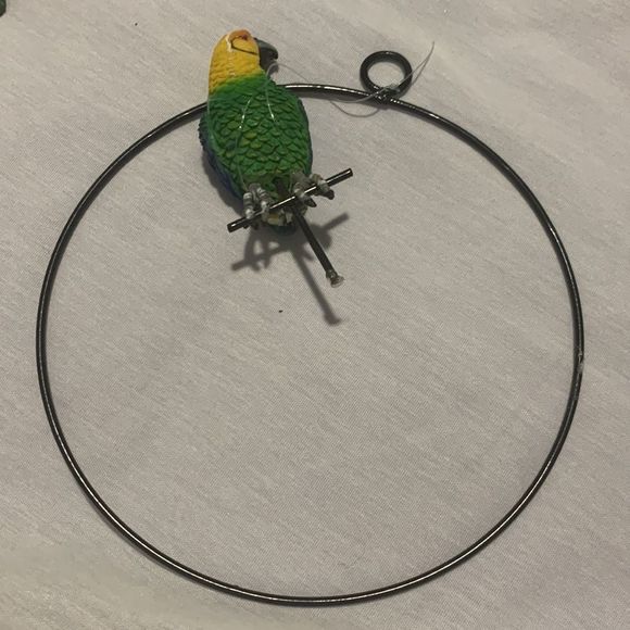 Parrots 🦜 - Picture 11 of 13